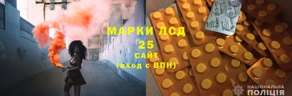 прущие грибы Карпинск