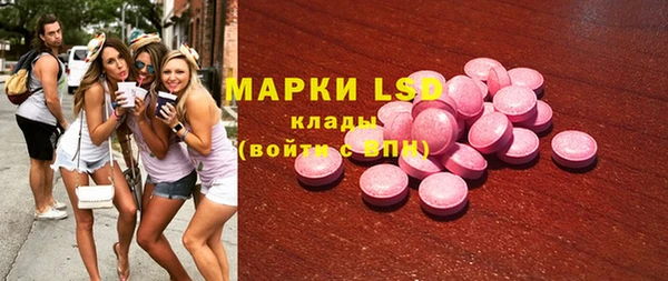 прущие грибы Карпинск