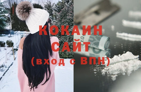 прущие грибы Карпинск