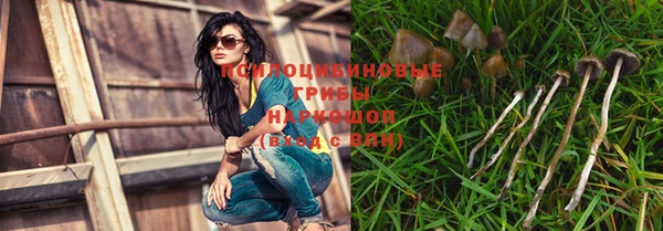 бутират Касимов