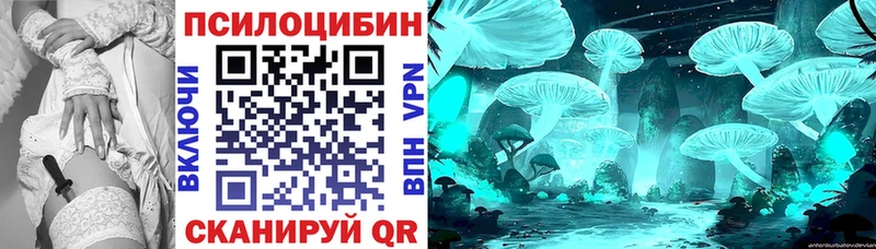 Купить закладки Подпорожье Псилоцибиновые грибы мухоморы