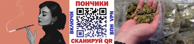 Шишки марихуана планчик  Купить  Подпорожье 